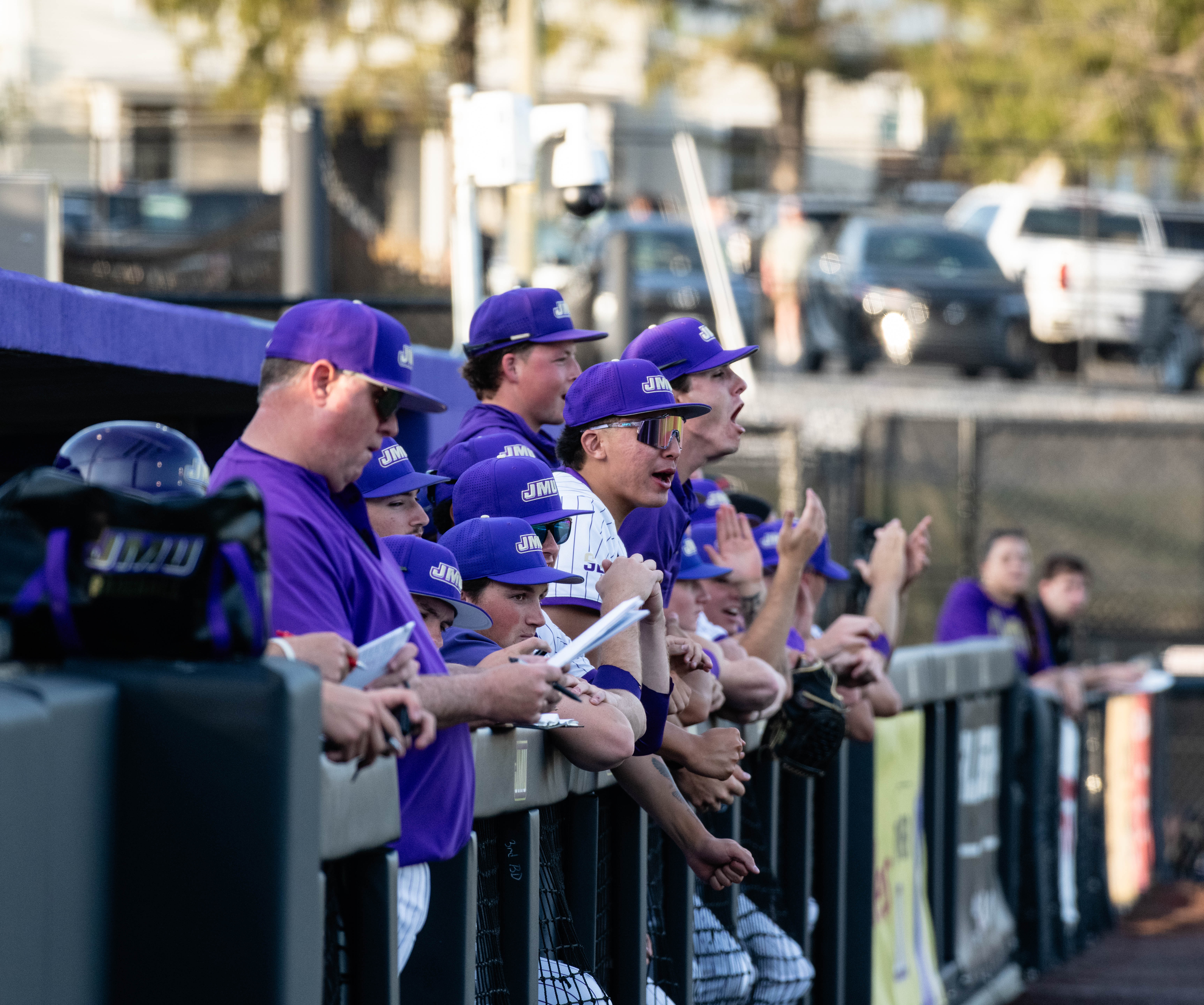 Baseball photo 5