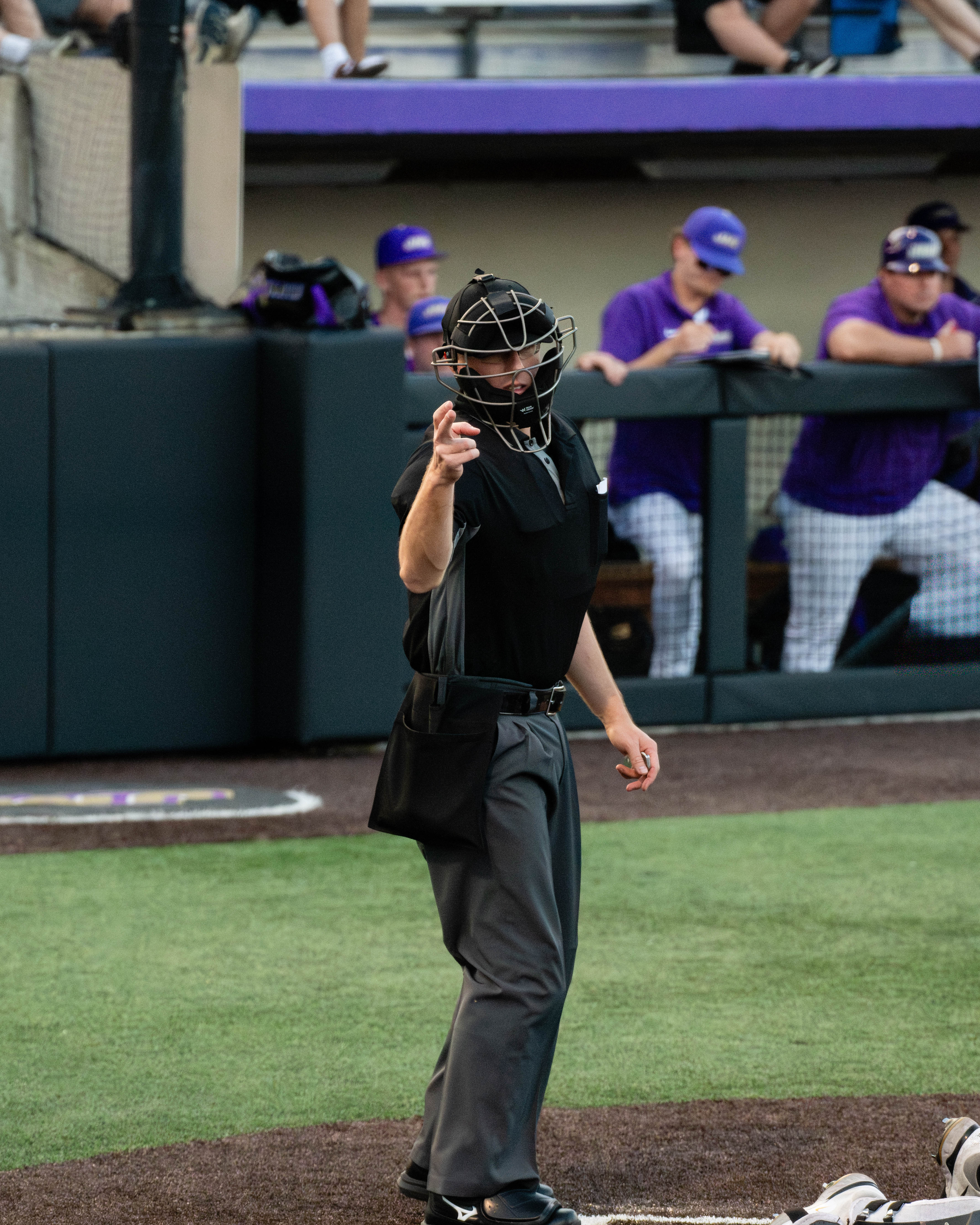 Baseball photo 8