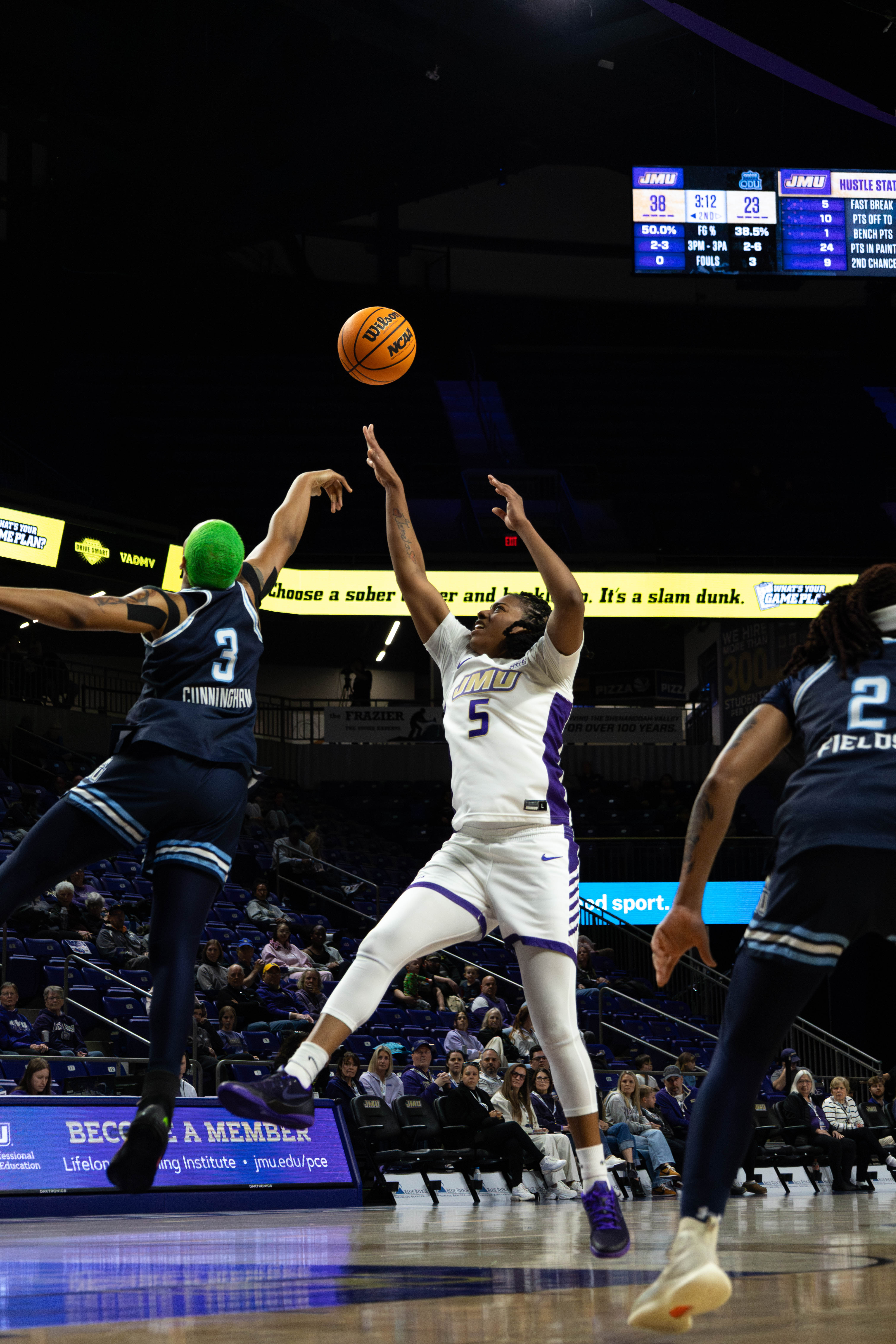 Basketball photo 14