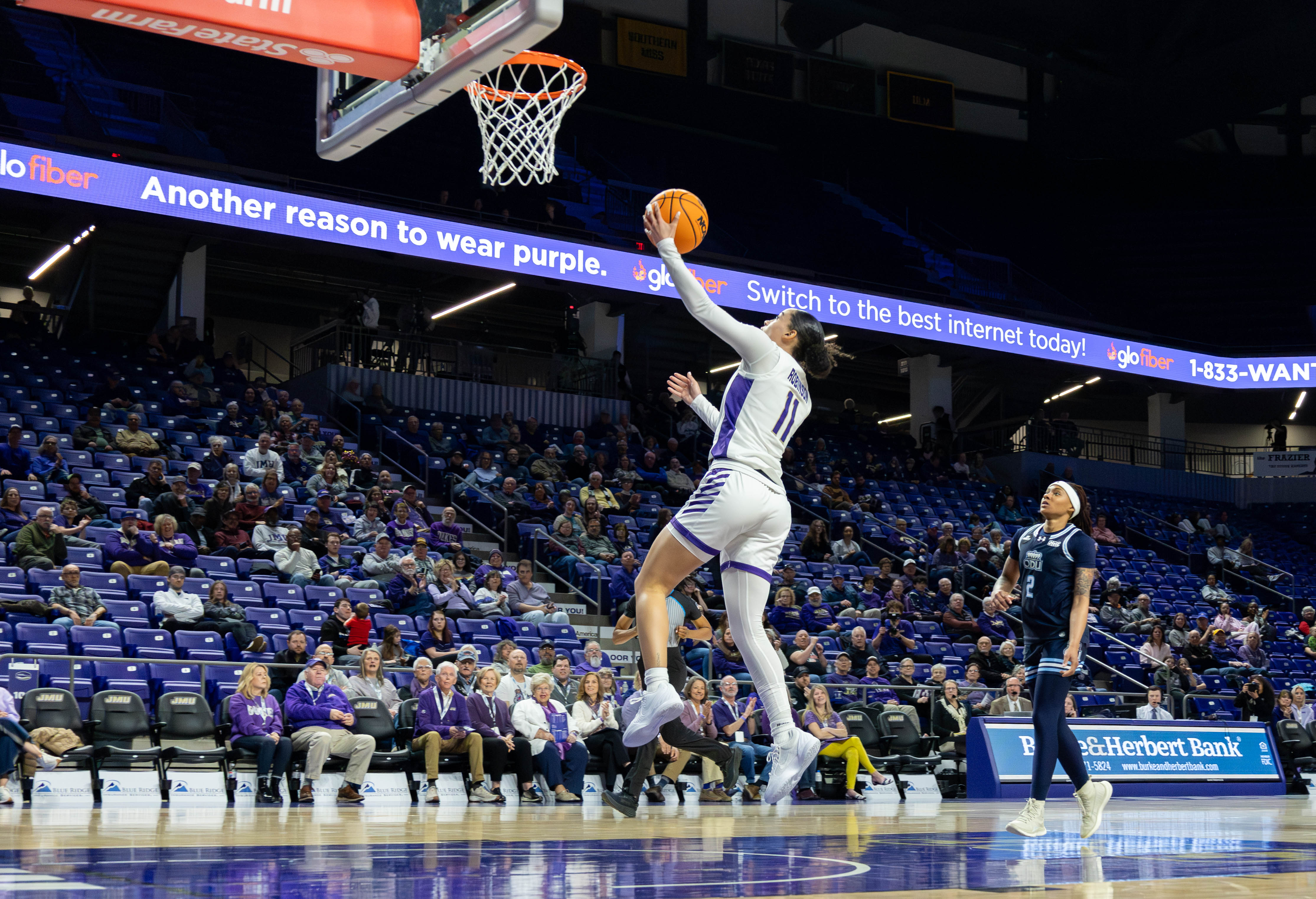 Basketball photo 15