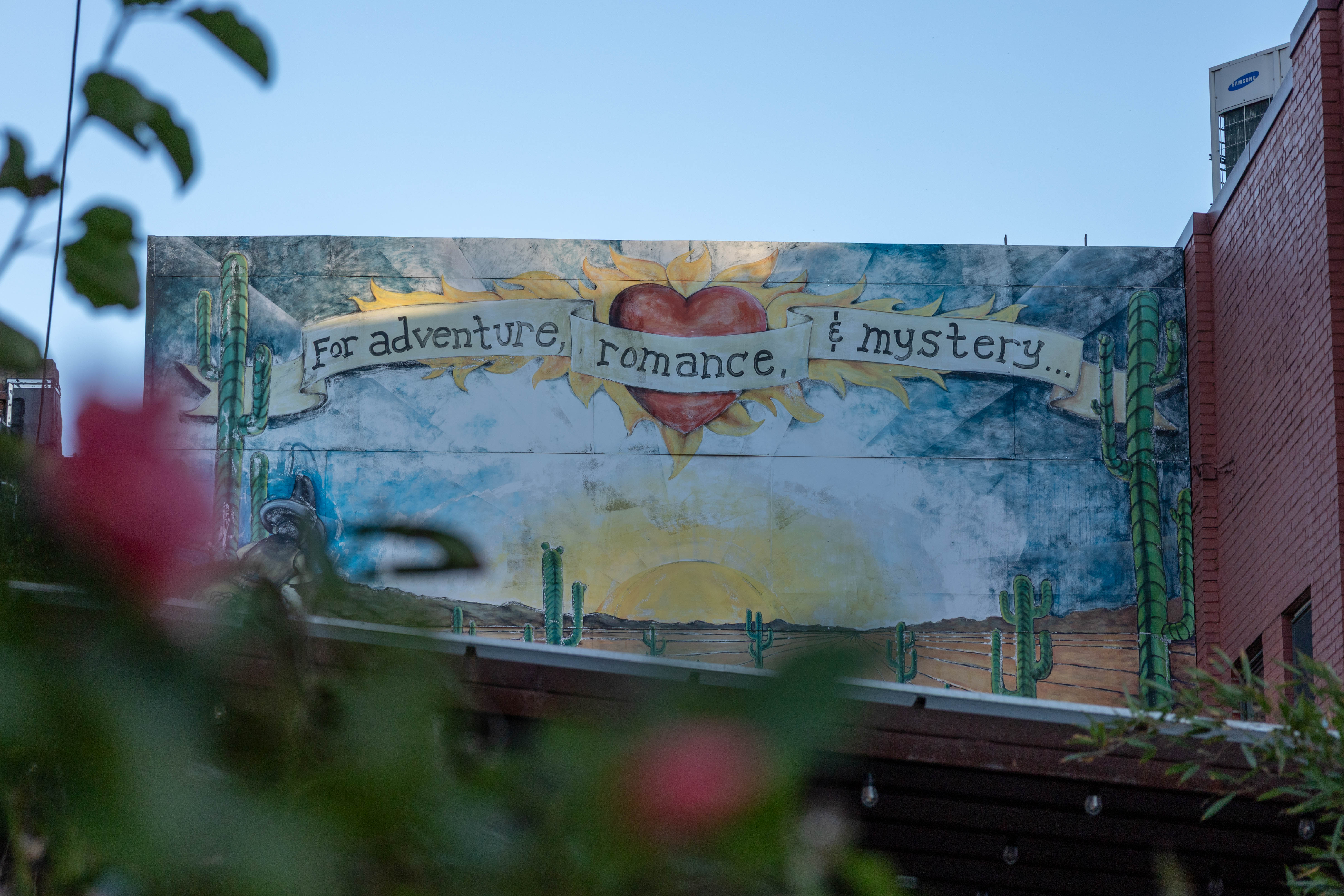 Downtown Harrisonburg Gallery photo 5
