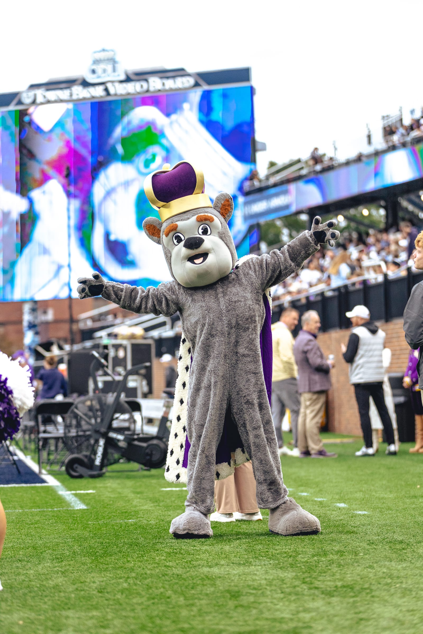 JMU vs. Old Dominion football photo 24