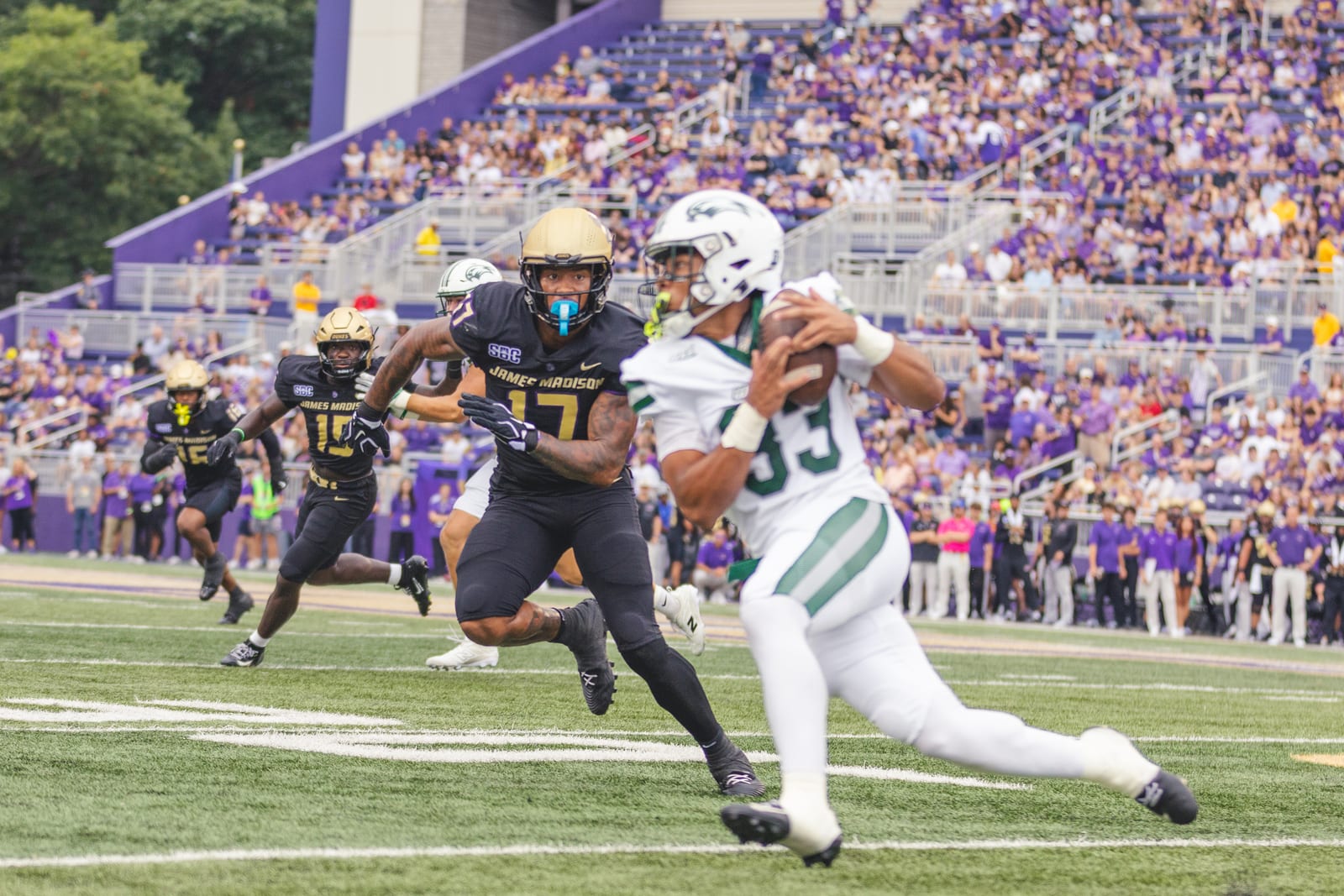 JMU vs. Wagner football photo 23