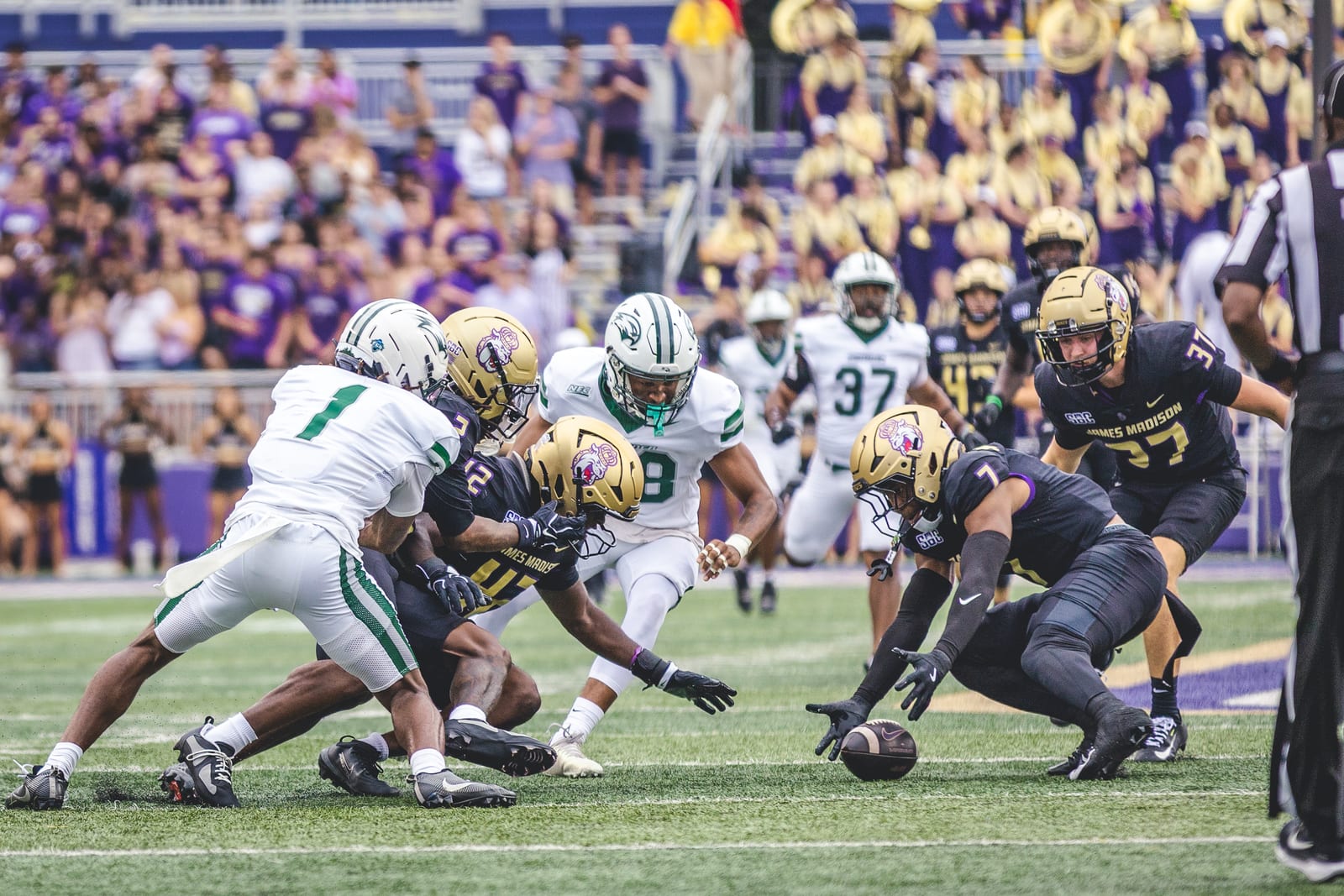 JMU vs. Wagner football photo 37