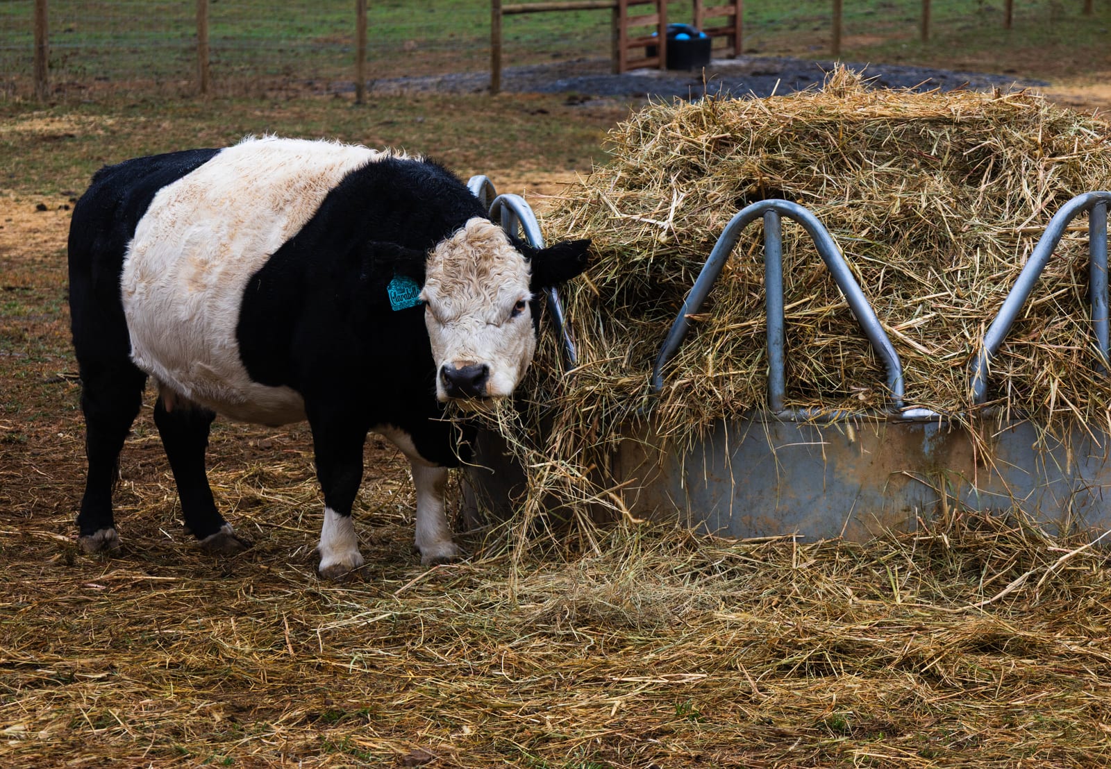 Myers Farm photo 19