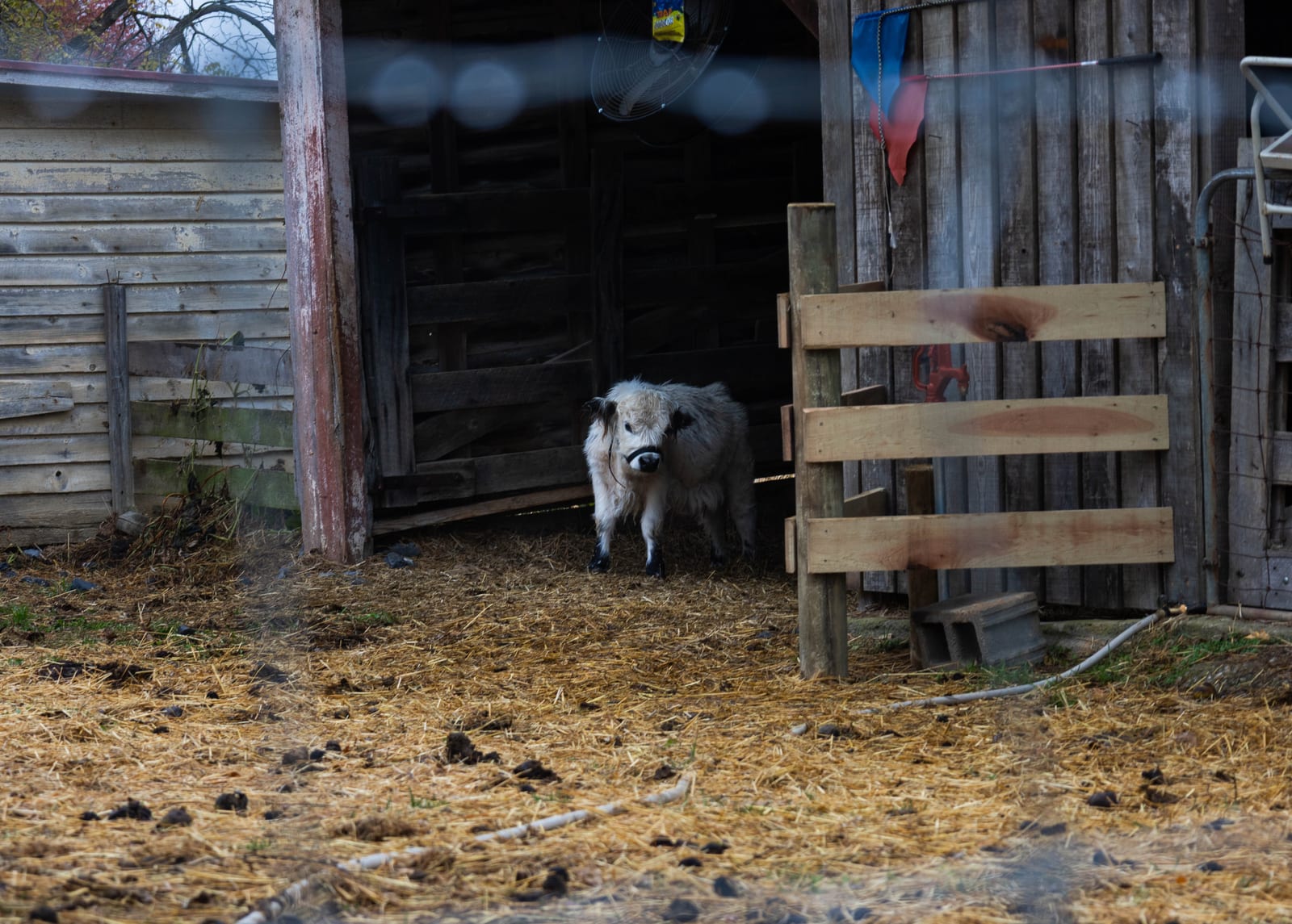 Myers Farm photo 21