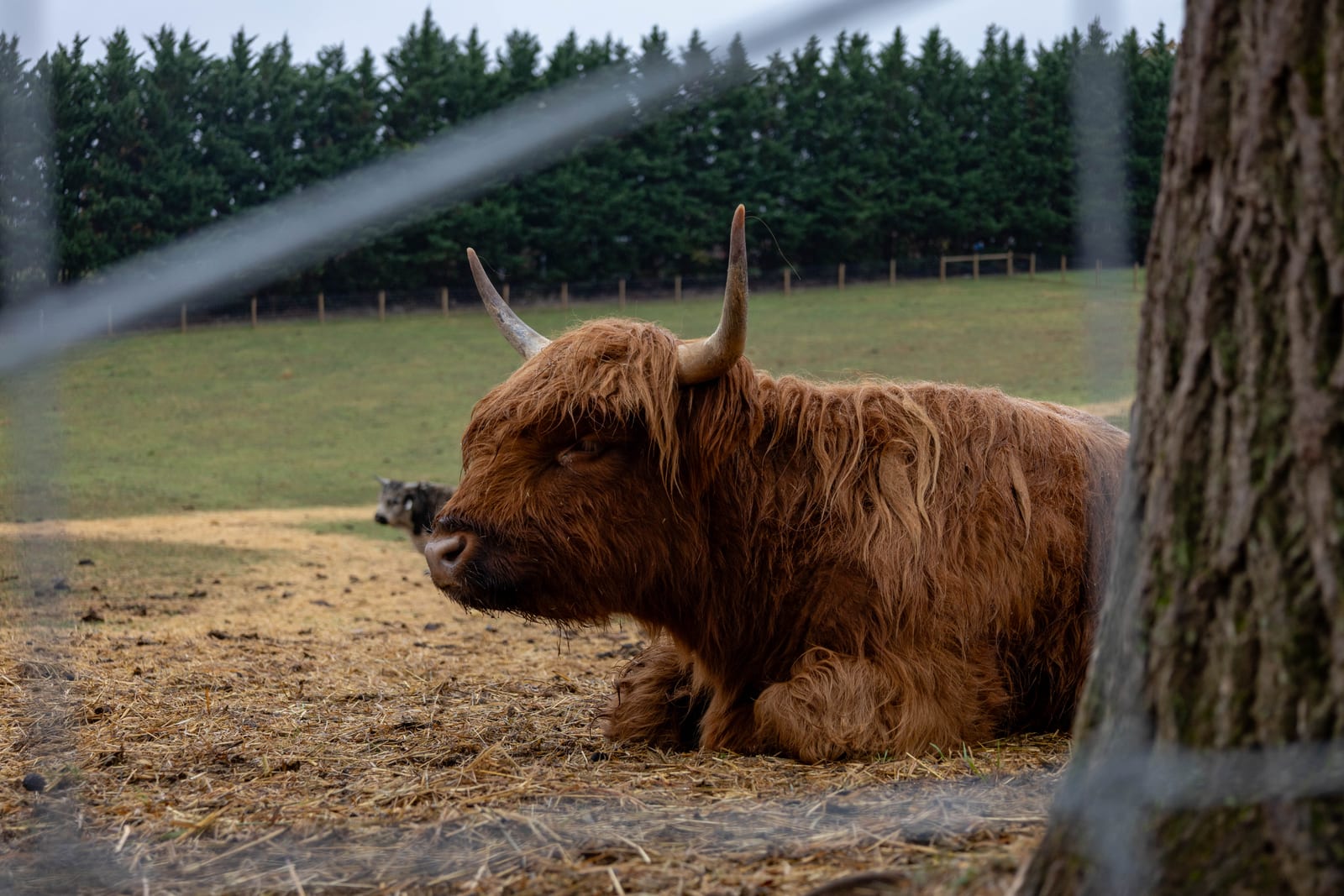 Myers Farm photo 23