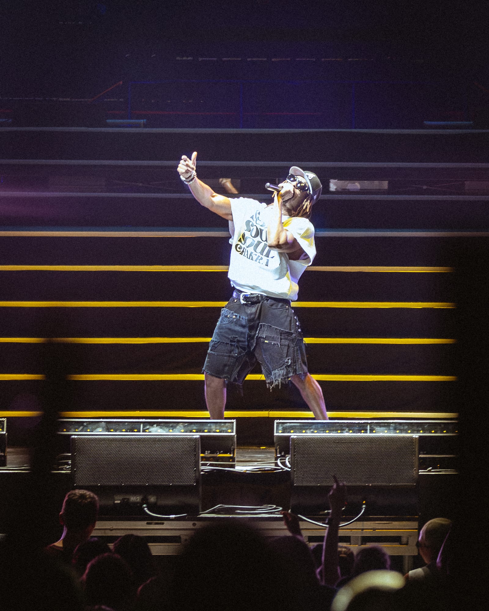 Pitbull concert photo 1