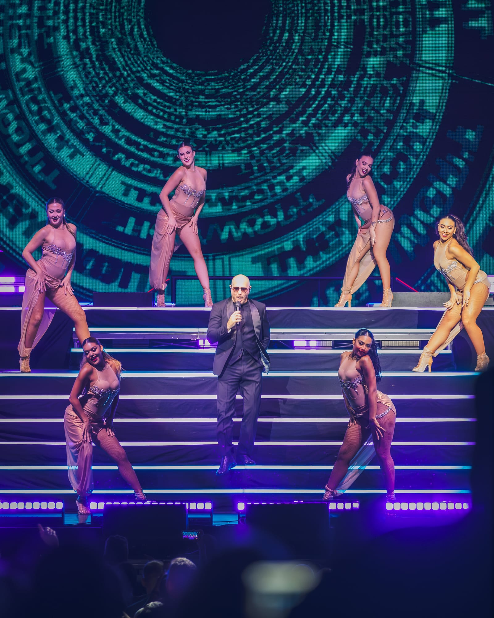 Pitbull concert photo 30