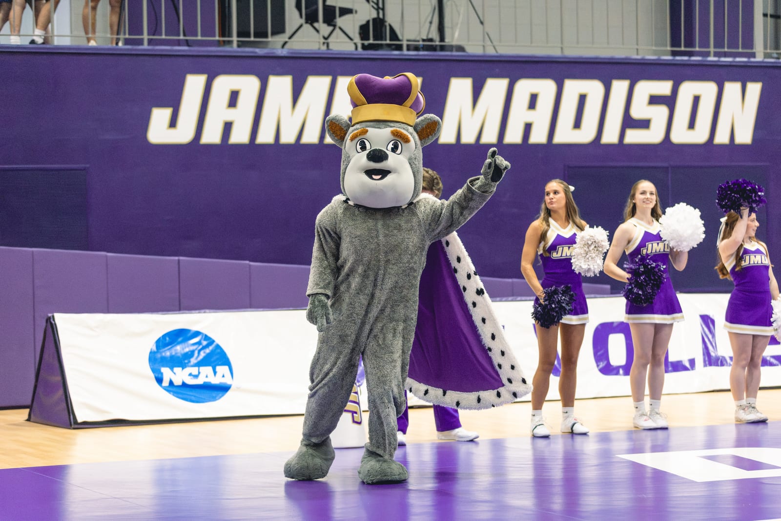 JMU vs. Loyola volleyball photo 9