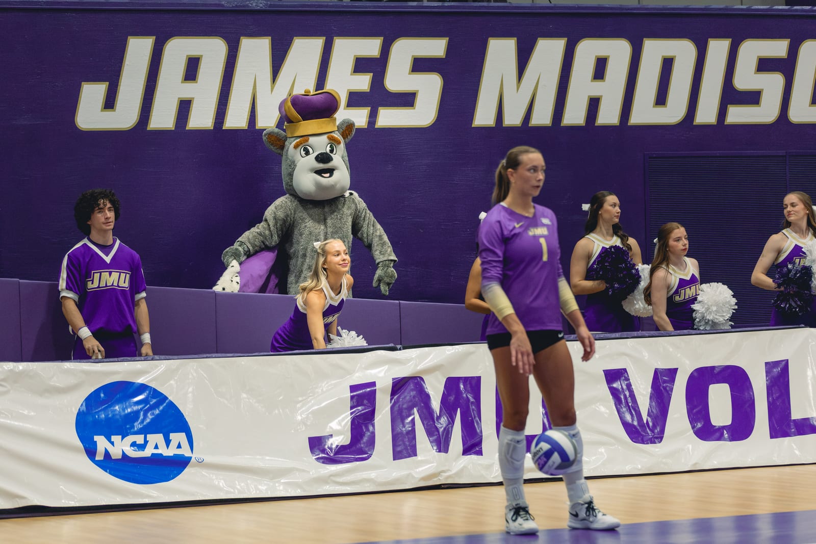 JMU vs. Loyola volleyball photo 10