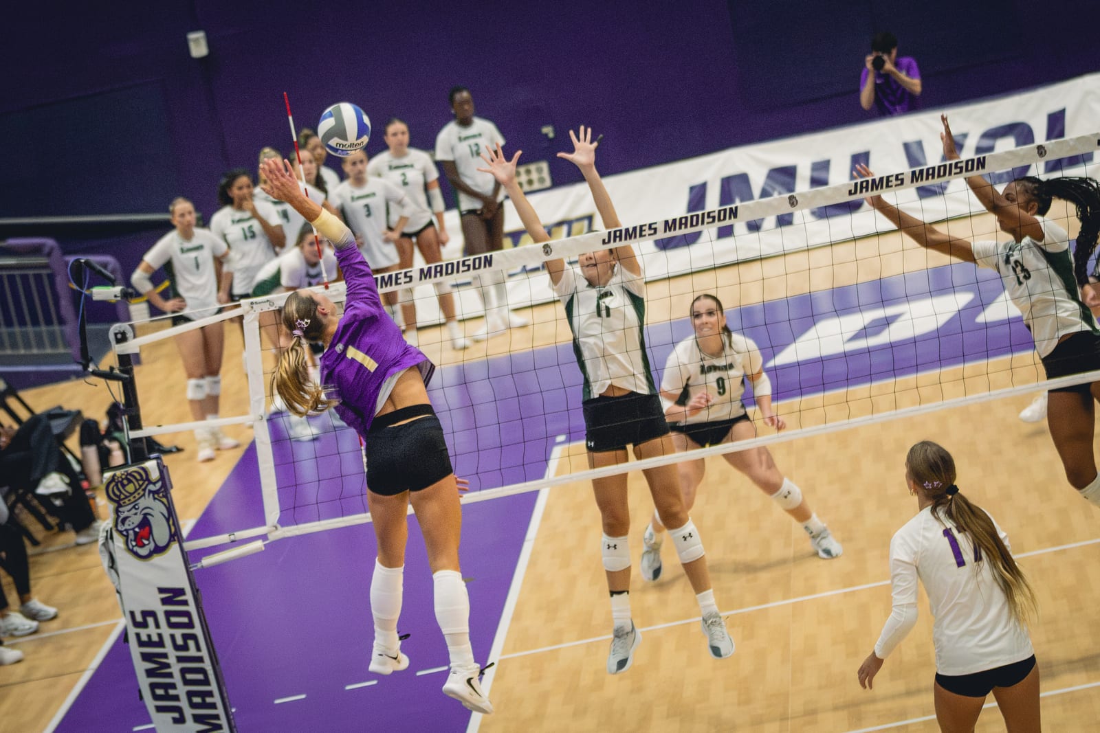 JMU vs. Loyola volleyball photo 4