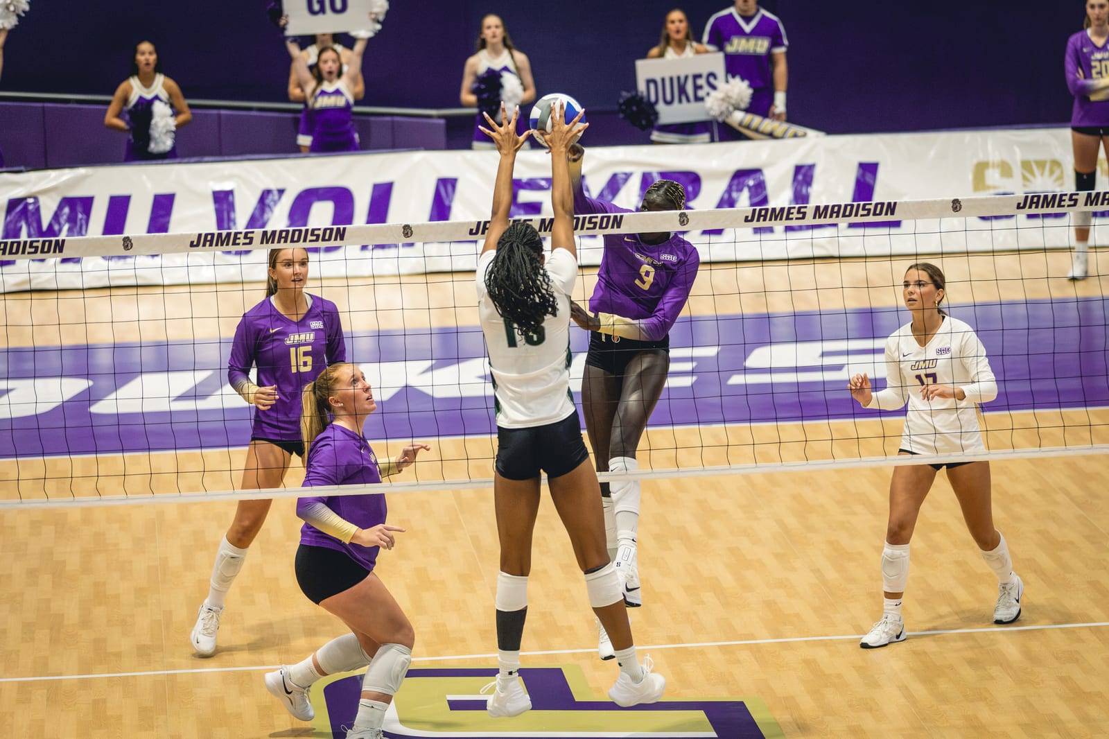 JMU vs. Loyola volleyball photo 18
