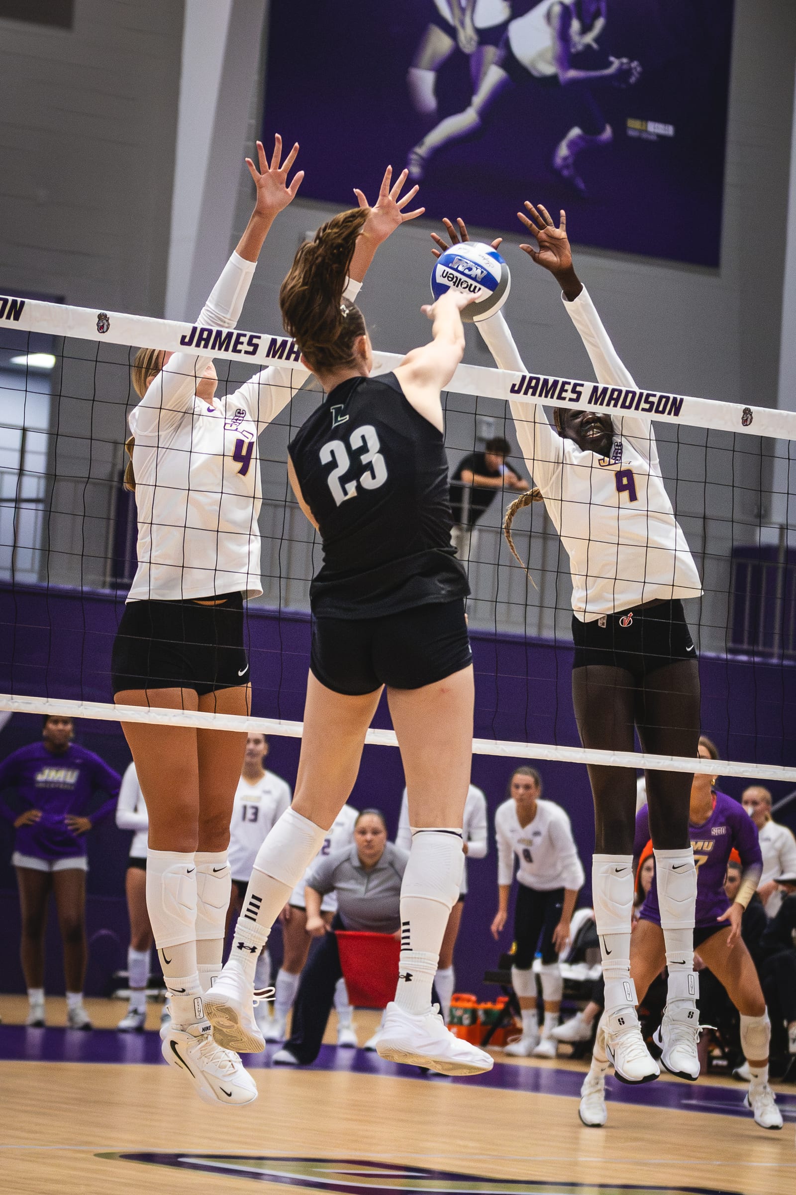 JMU vs. Loyola volleyball photo 22