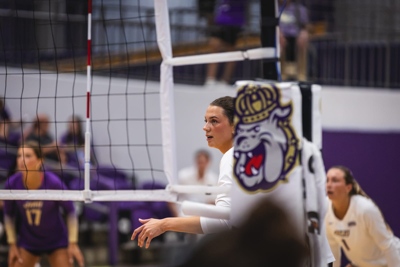 JMU vs. Loyola volleyball photo 24