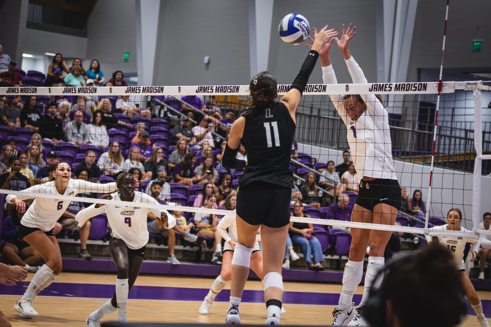 JMU vs. Loyola volleyball photo 6