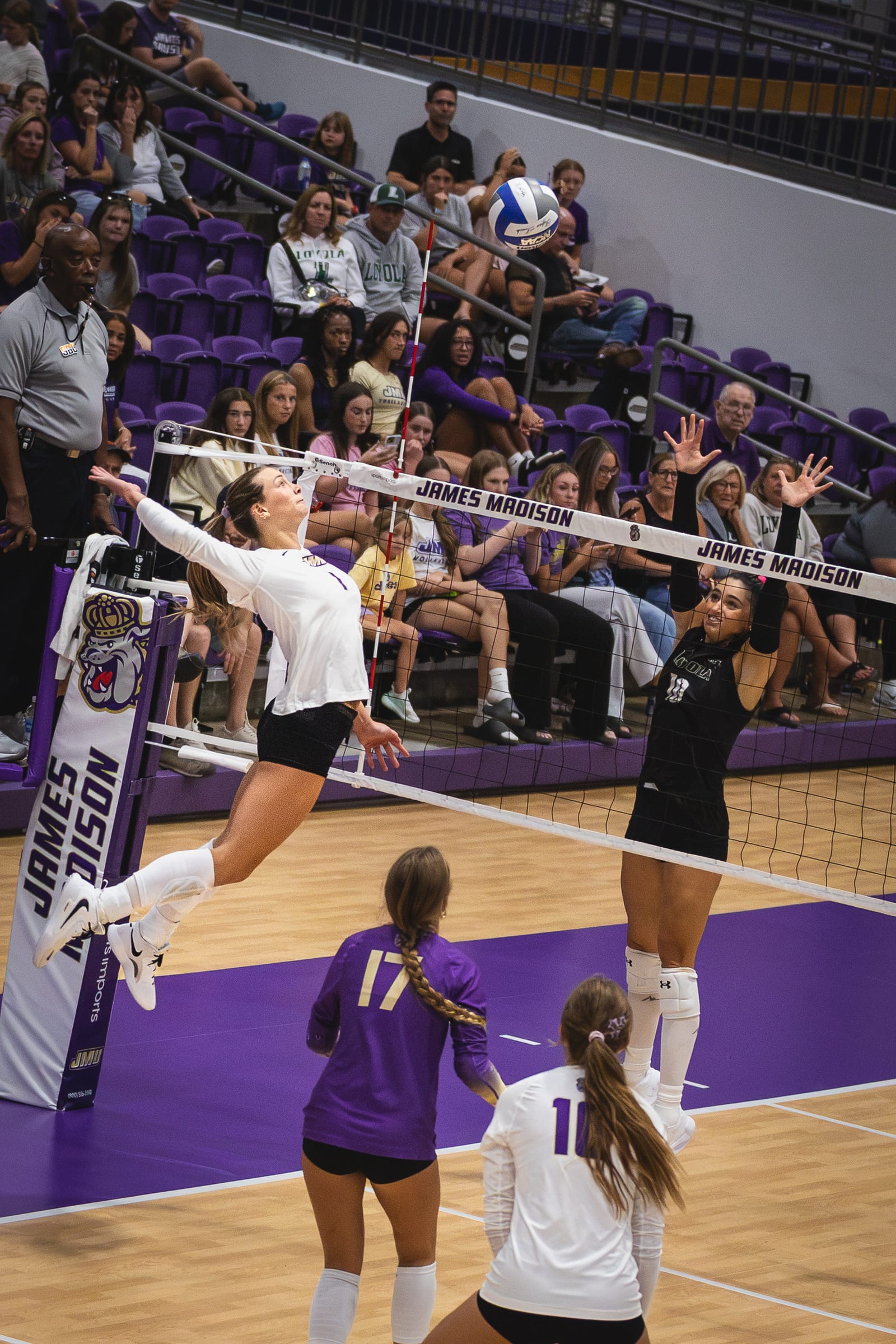 JMU vs. Loyola volleyball photo 26