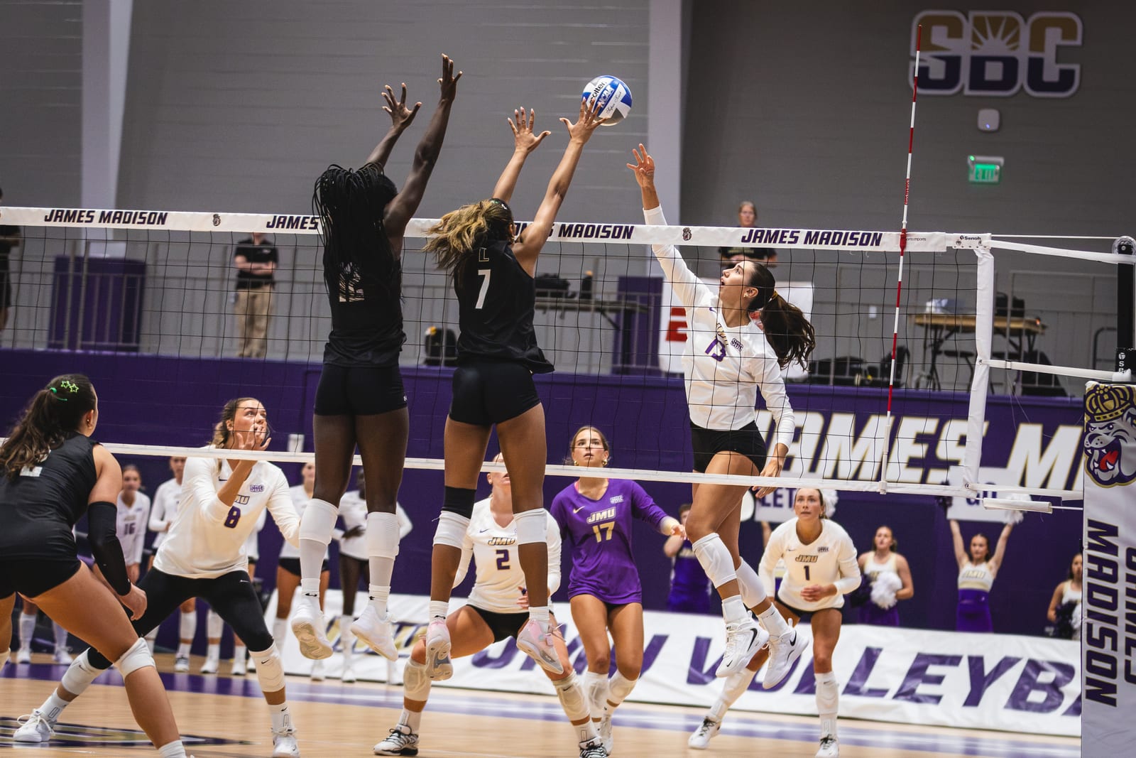 JMU vs. Loyola volleyball photo 28