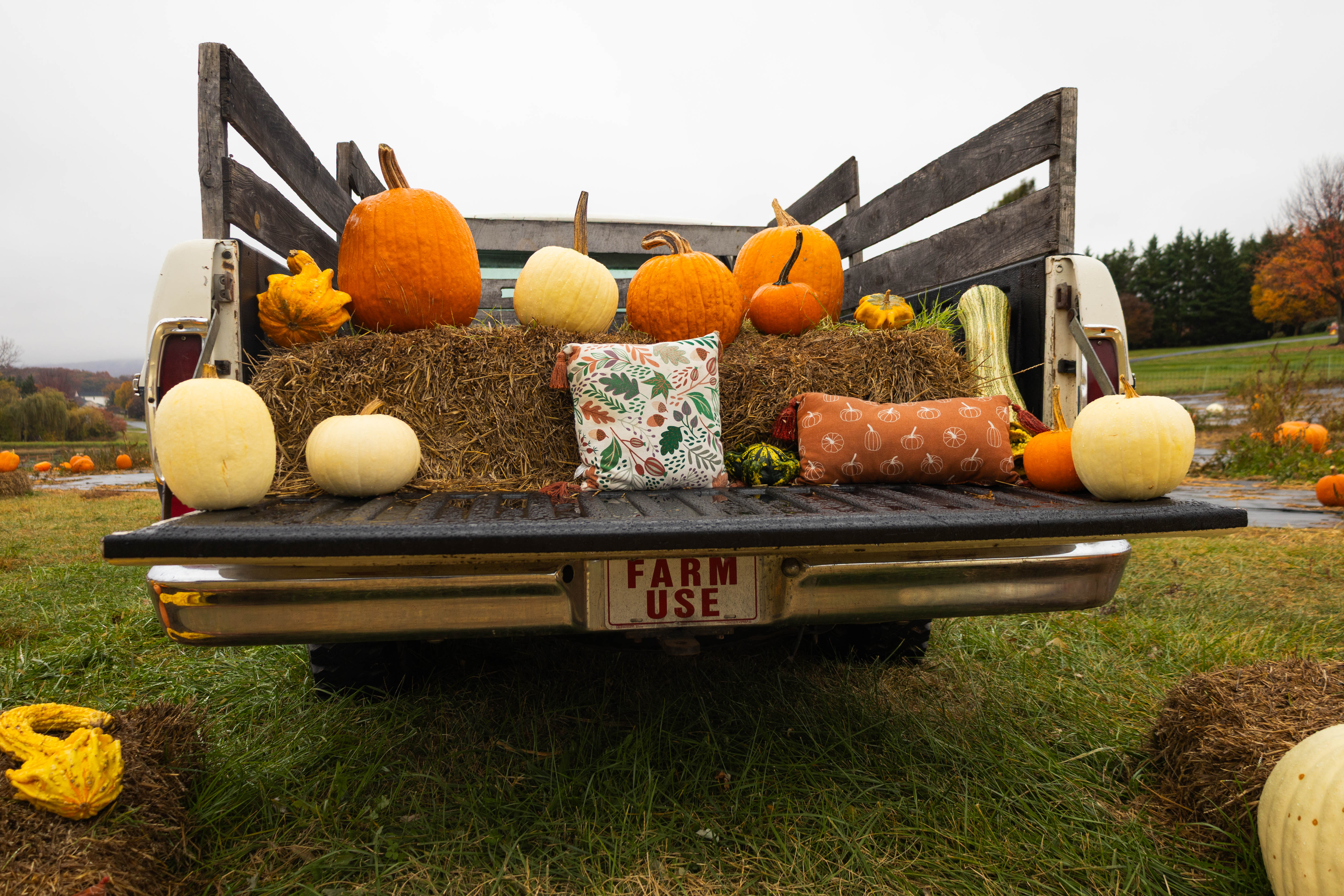 Myers Farm photo 5