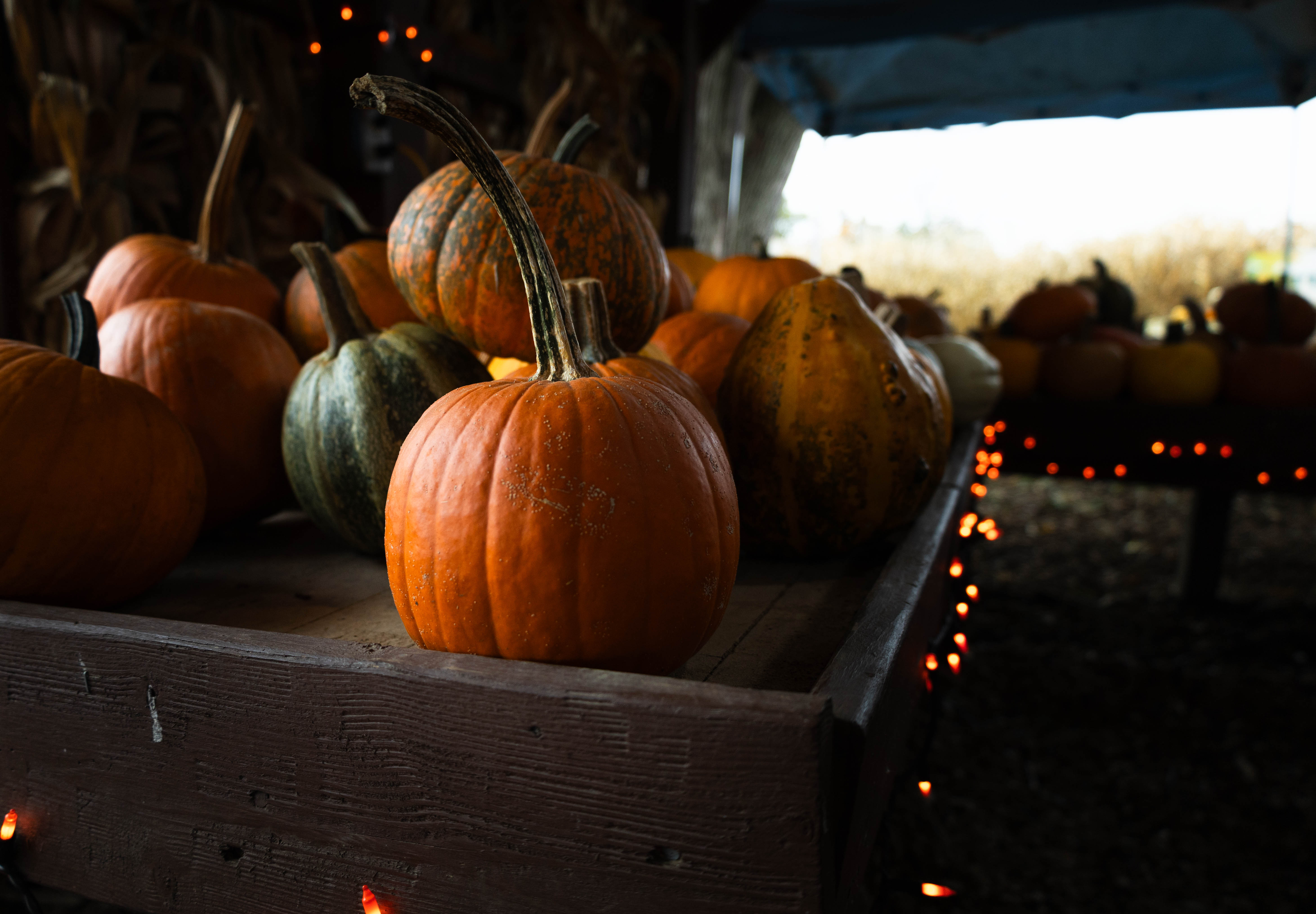 Myers Farm photo 6