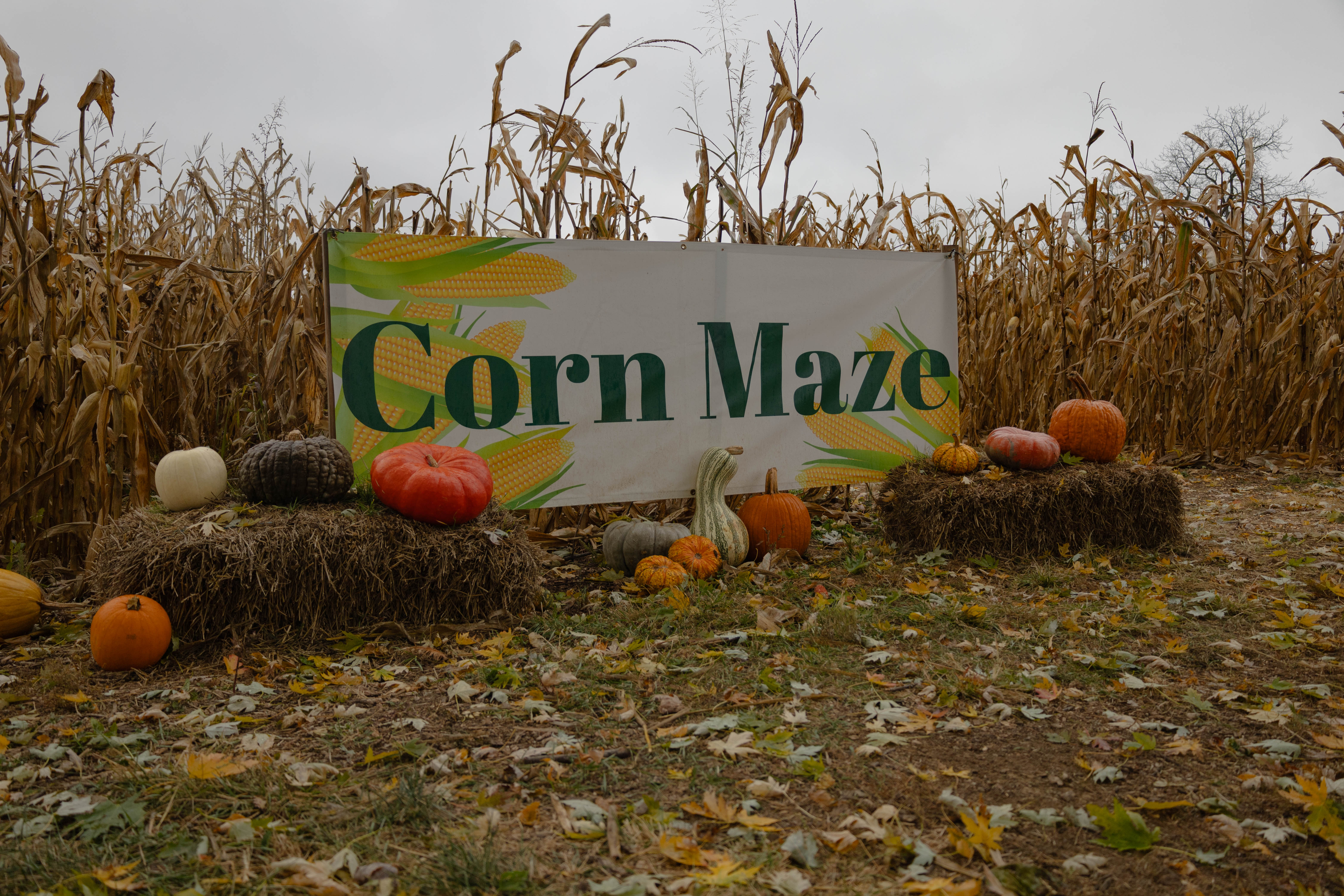 Myers Farm photo 7