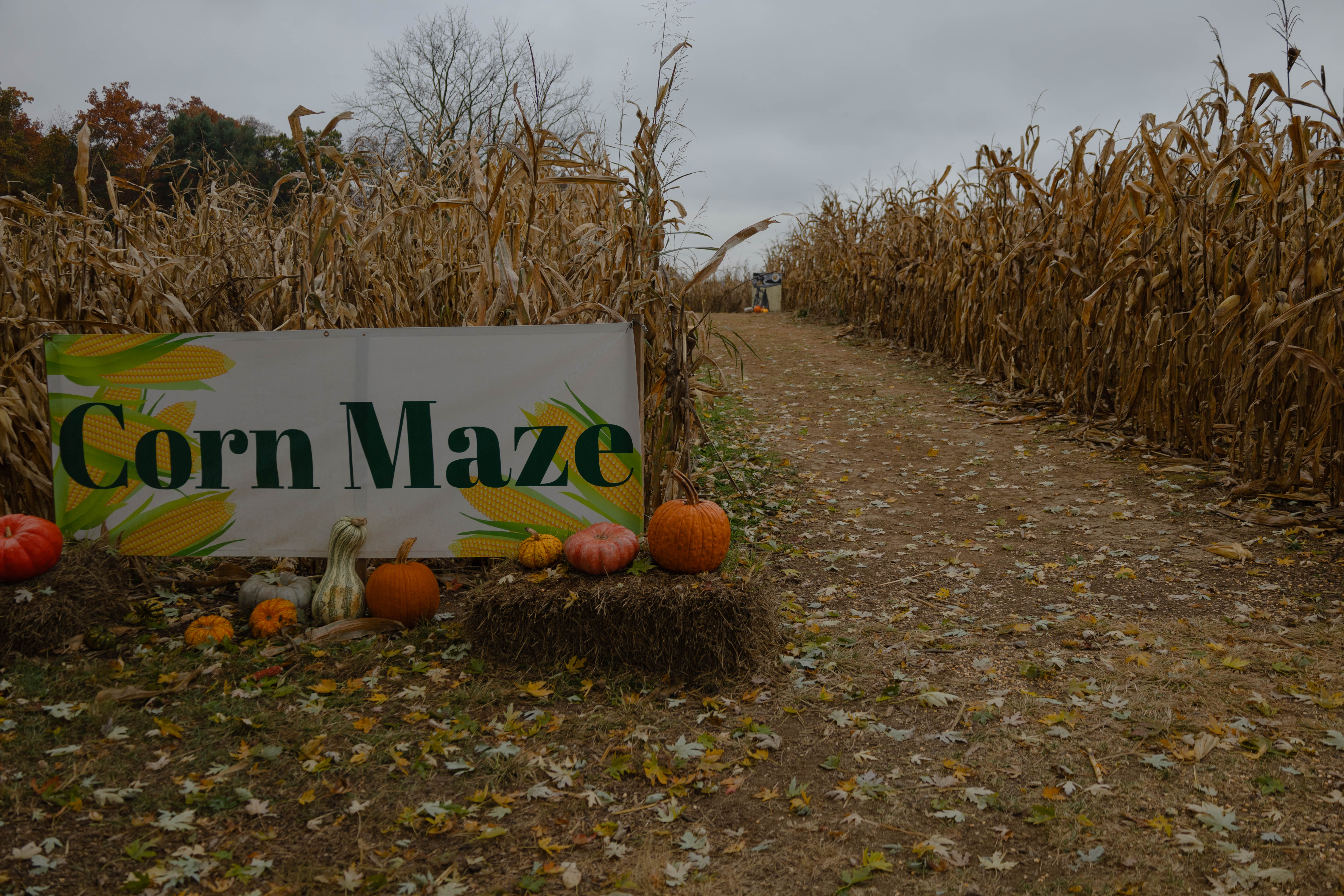 Myers Farm photo 8