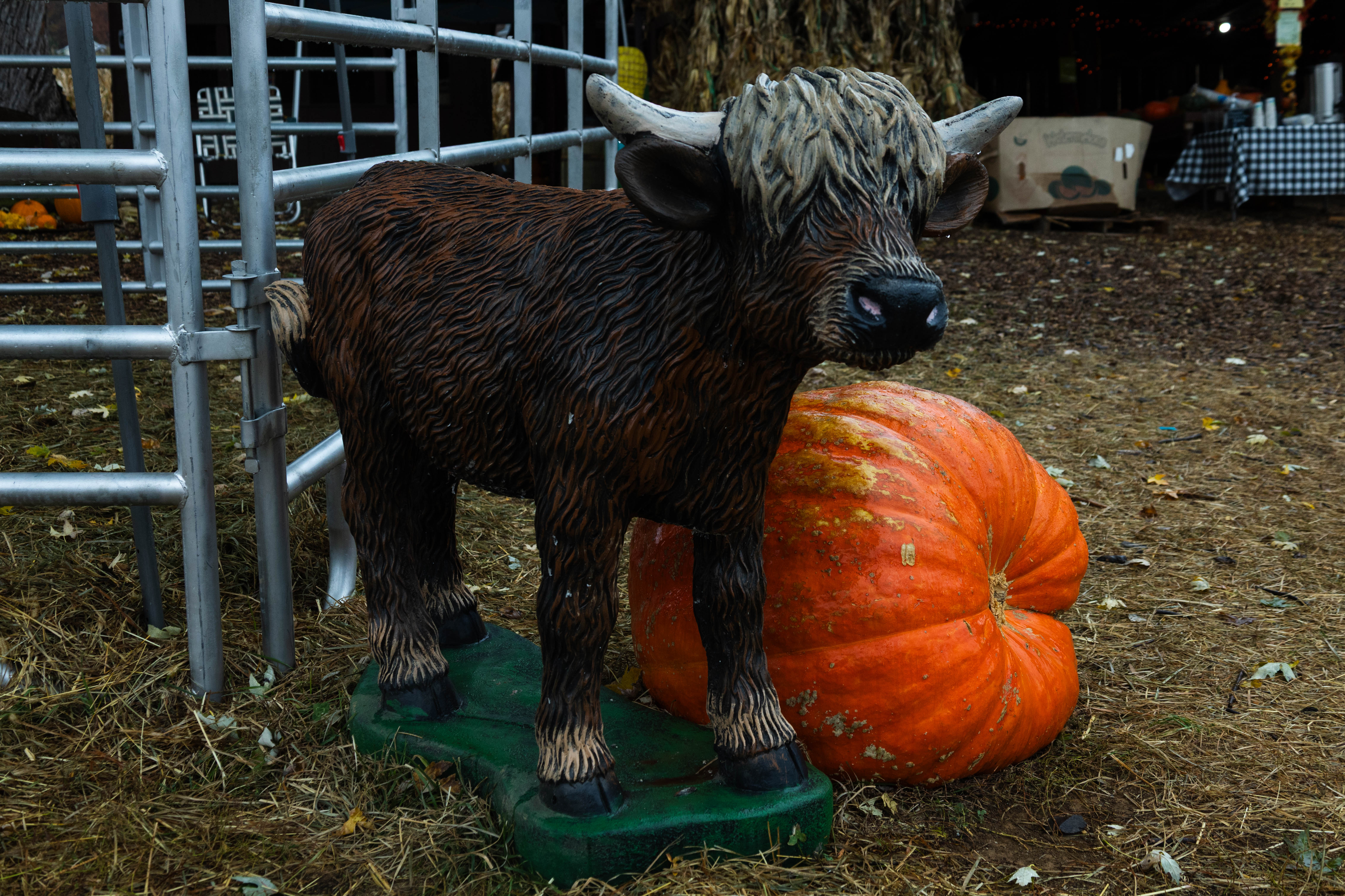 Myers Farm photo 10