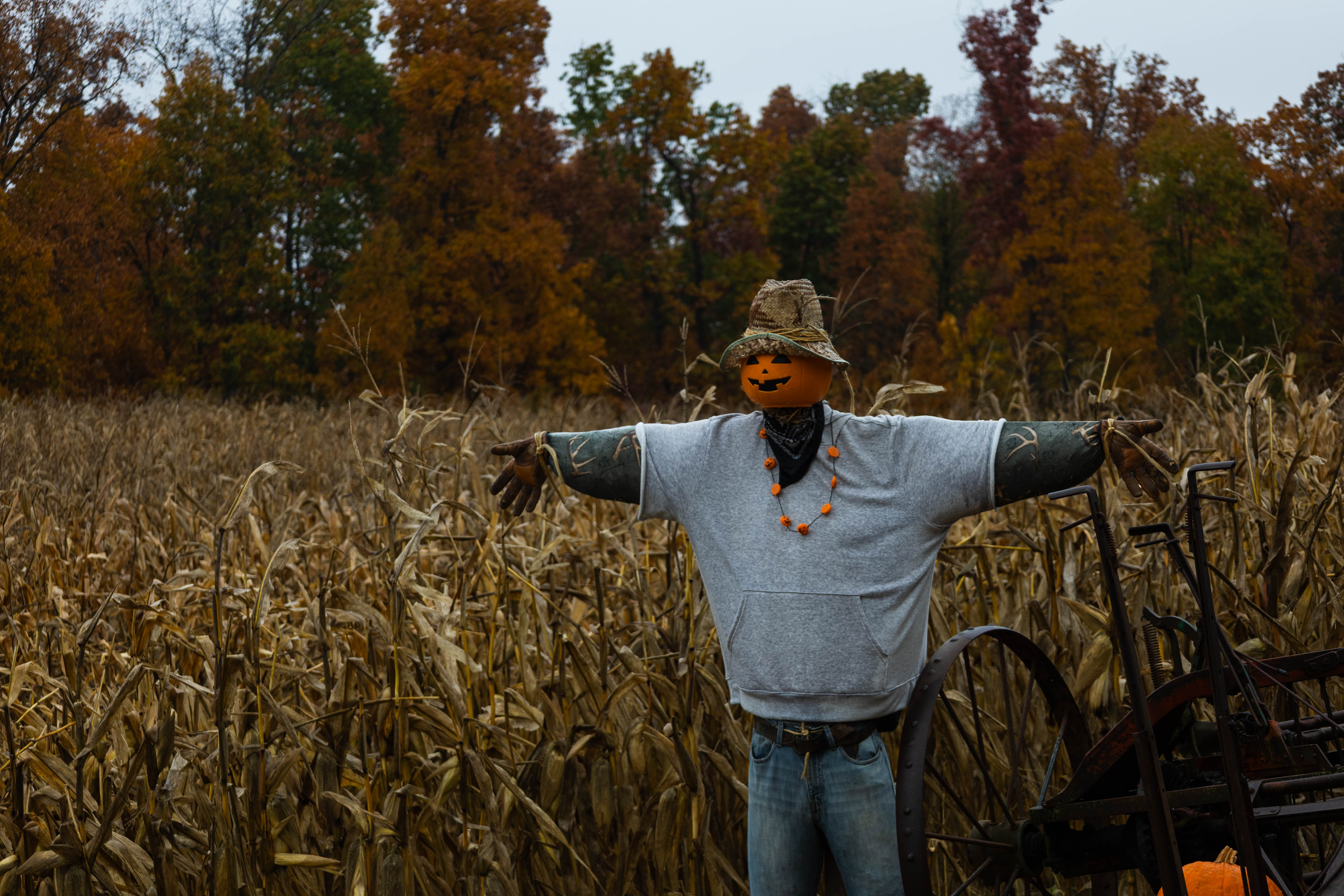 Myers Farm photo 11
