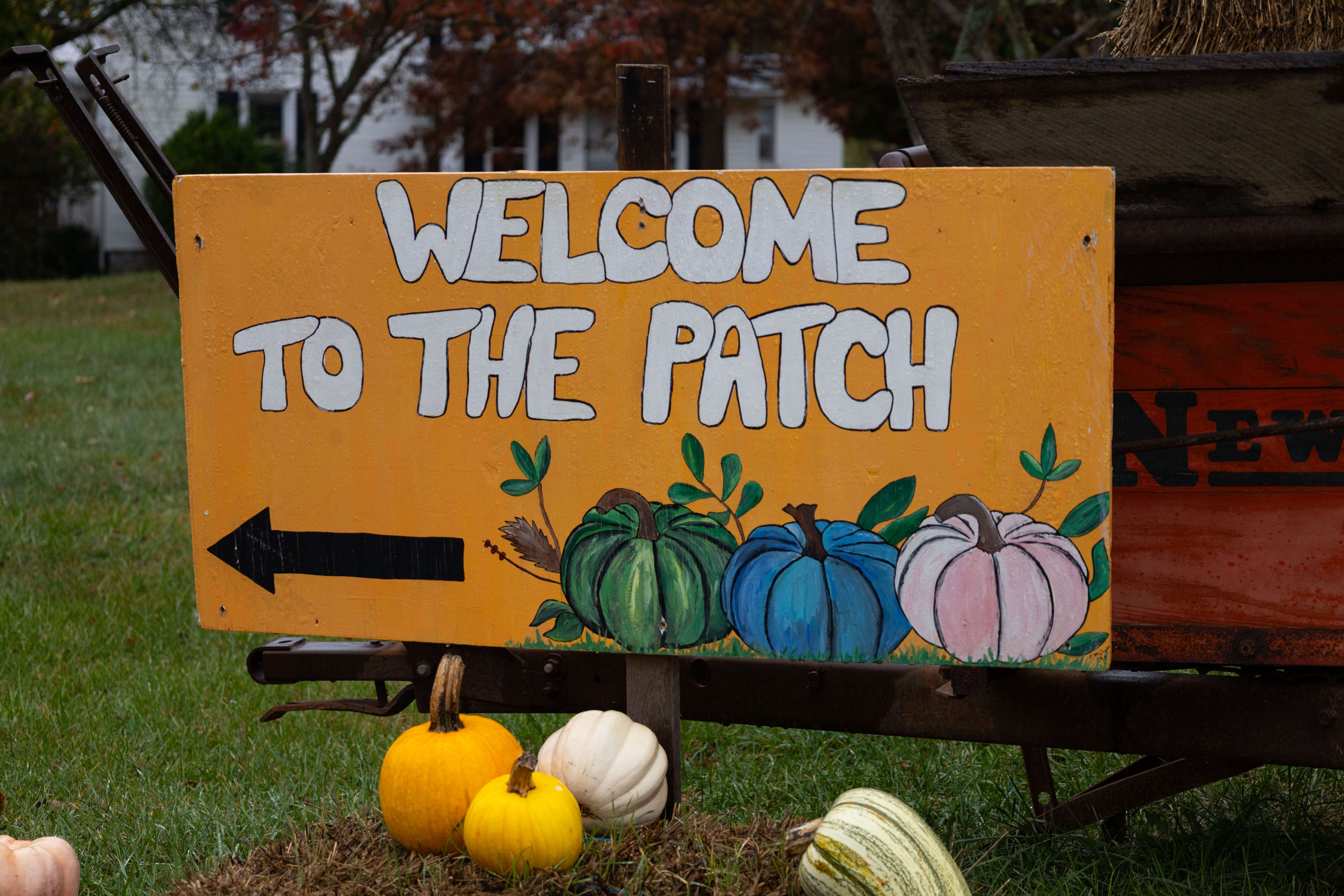 Myers Farm photo 12