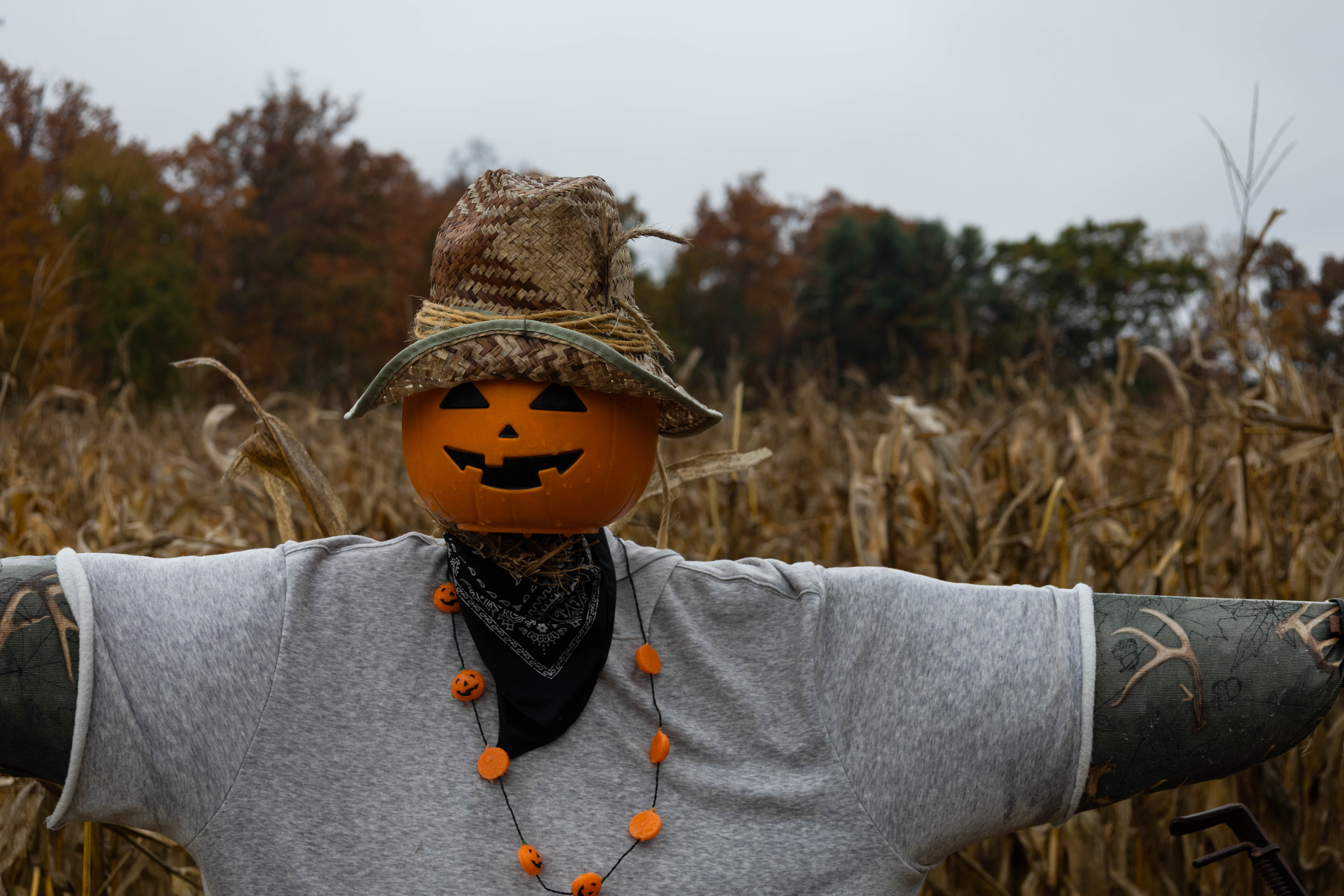 Myers Farm photo 13