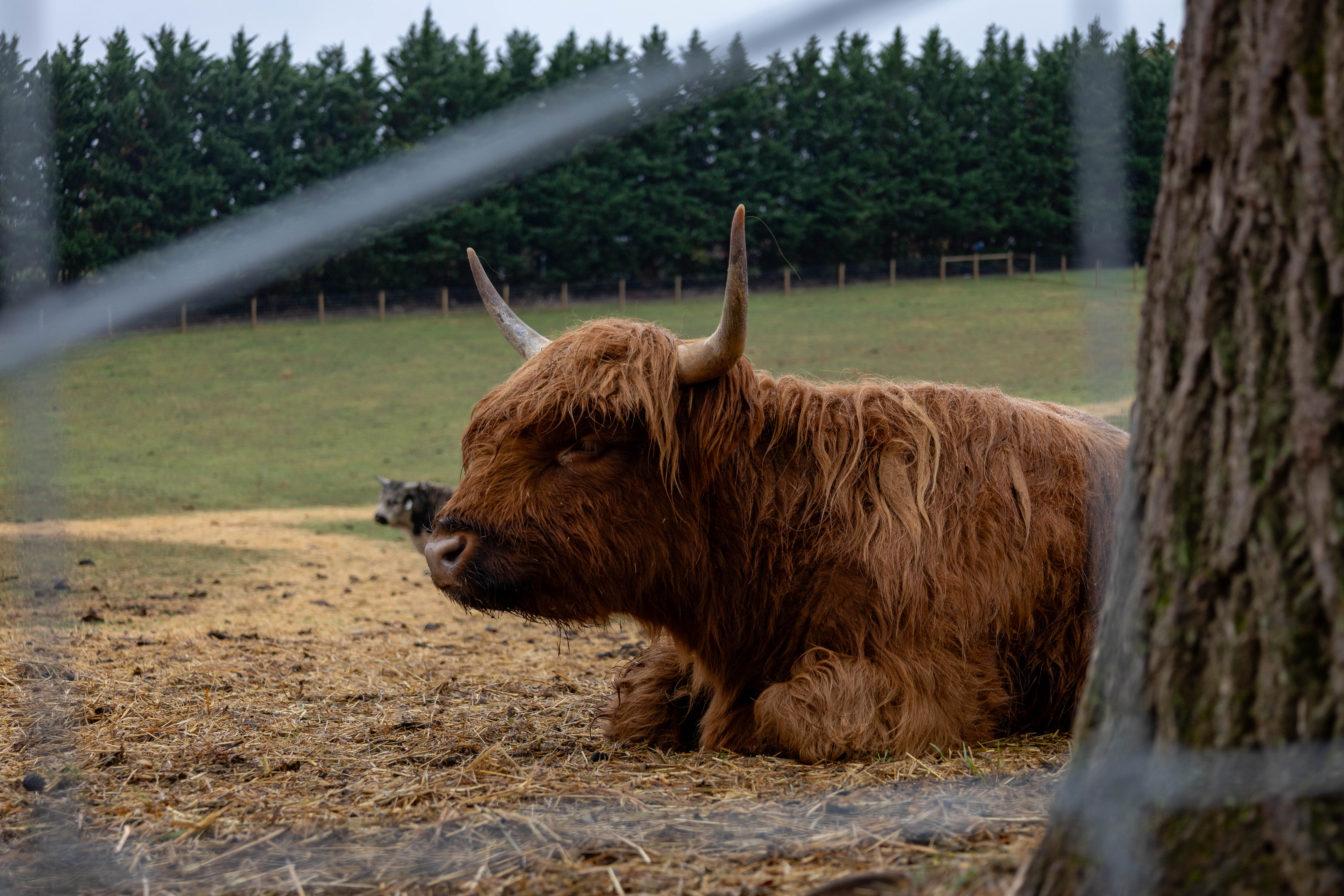Myers Farm photo 23