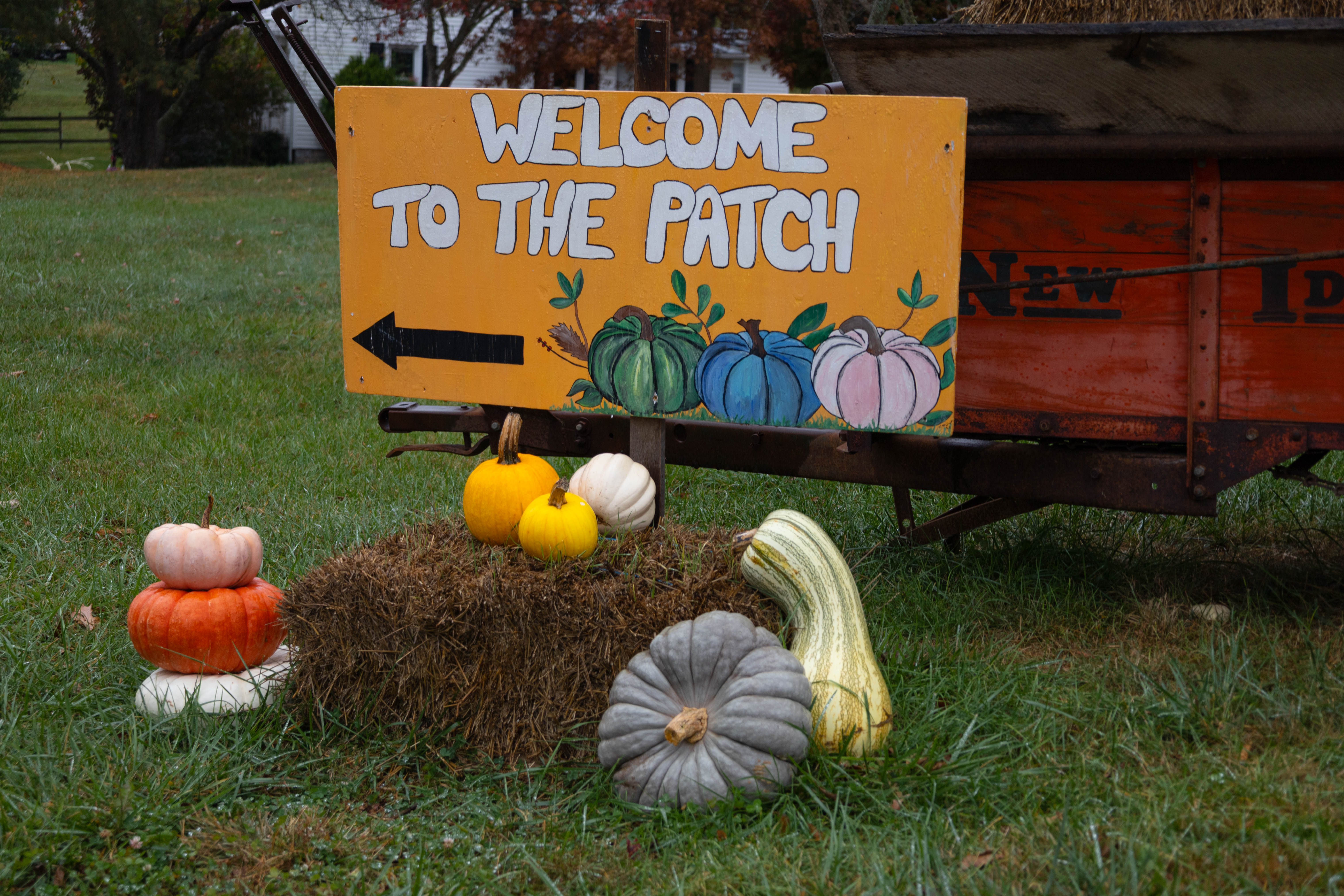 Myers Farm photo 1